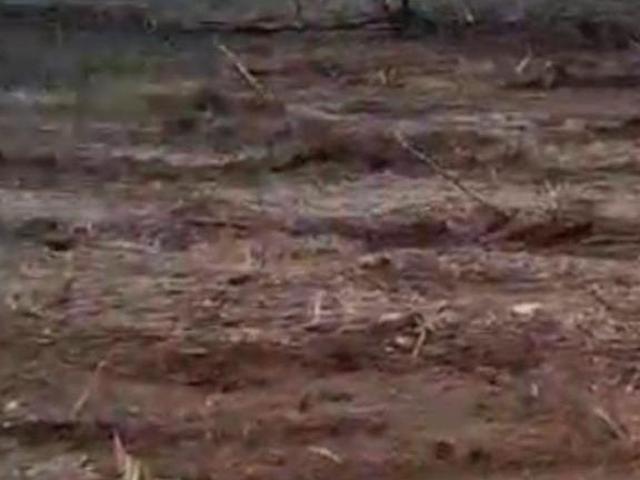 Sítio e chácara venda em Pedra Azul, Região Sudeste