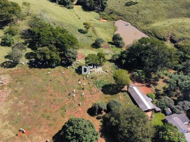 Sítio e chácara venda em Região Geográfica Imediata de Goiânia, Goiânia