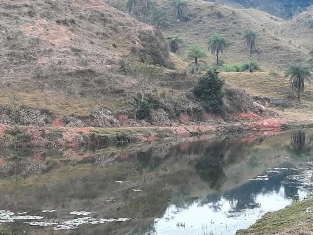 Fazenda venda em Região Geográfica Imediata de Ipatinga, Jaguaraçu