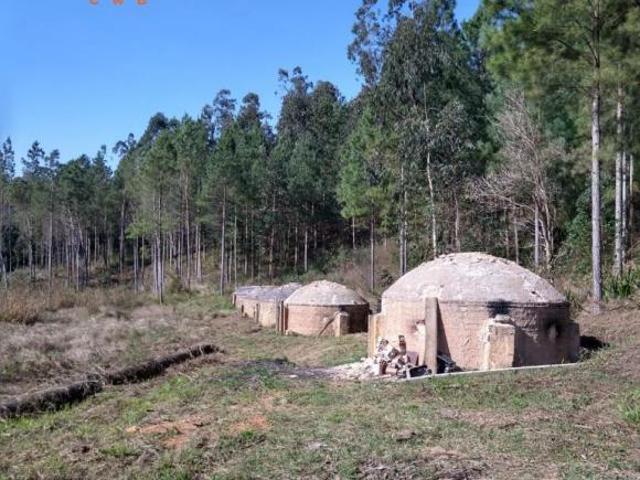 Sitio venda em Campo Magro