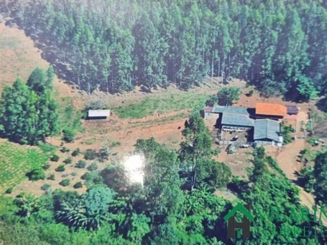 Sítio e chácara venda em Região Geográfica Imediata de Guanhães, São Pedro do Suaçuí