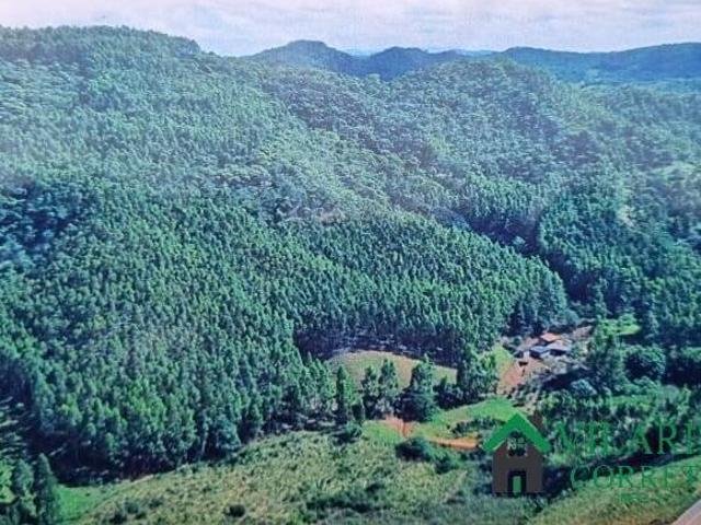 Sítio e chácara venda em Região Geográfica Imediata de Guanhães, São Pedro do Suaçuí