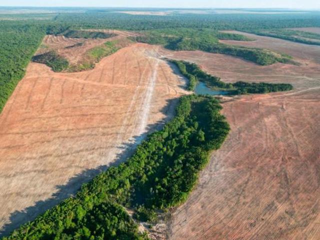 Sítio e chácara venda em Região Geográfica Imediata de Confresa - Vila Rica, São José do Xingu