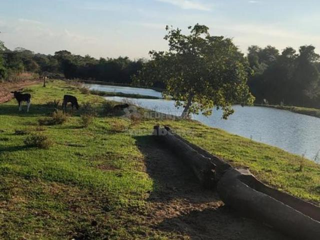 Sítio e chácara venda em Região Geográfica Imediata de Rio Verde, Cachoeira Alta