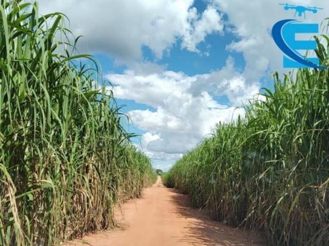 Sítio e chácara venda em Região Geográfica Imediata de Patos de Minas, João Pinheiro