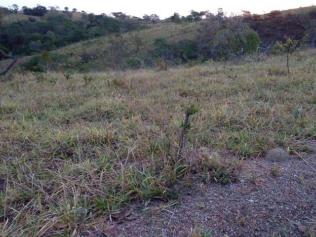 Sítio e chácara venda em Região Geográfica Imediata de Luziânia, Região Integrada de Desenvolvimento do Distrito Federal e Entorno