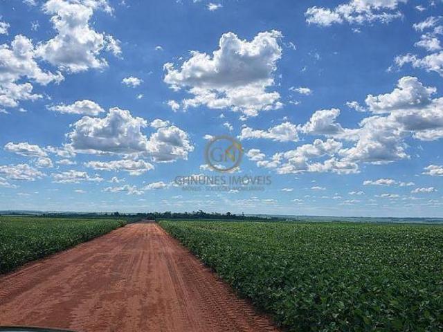 Sítio e chácara venda em Foz do Iguaçu, Região Geográfica Intermediária de Cascavel