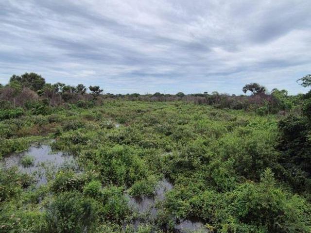 Sítio e chácara venda em Região Geográfica Imediata de Corumbá, Corumba
