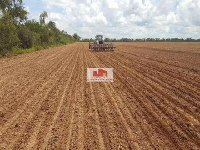 Sítio e chácara venda em Paranhos, Mato Grosso do Sul