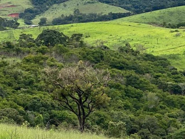 Sítio e chácara venda em Região Geográfica Imediata de São Lourenço, Soledade de Minas