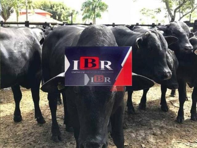 Sítio e chácara venda em Região Imediata de São José dos Campos, Região Metropolitana do Vale do Paraíba e Litoral Norte