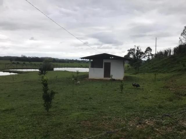 Fazenda venda em Região Geográfica Imediata de Joinville, Joinville