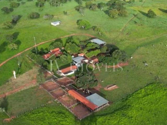 Sítio e chácara venda em Região Geográfica Imediata de Posse-Campos Belos, Nova Roma