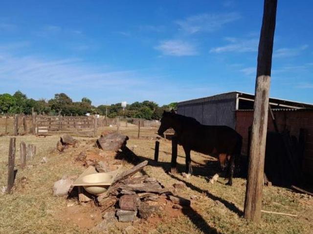 Sítio e chácara venda em Região Geográfica Imediata do Distrito Federal, Região Integrada de Desenvolvimento do Distrito Federal e Entorno