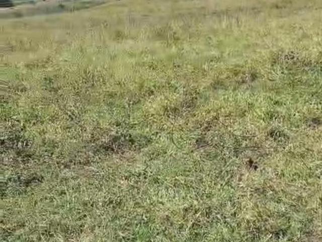 Sítio e chácara venda em Cajuru