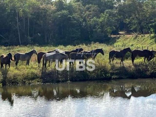Ponto Comercial venda em Serra de Campo, Santa Tereza de Goiás