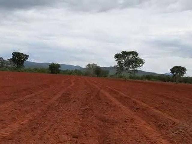 Sítio e chácara venda em Região Geográfica Imediata de Flores de Goiás, Cavalcante
