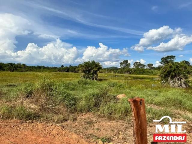 Fazenda venda em Região Geográfica Imediata de Porangatu, Novo Planalto