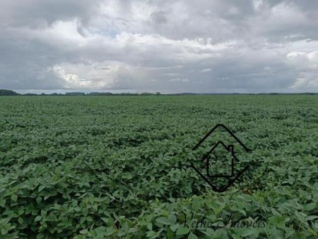Sítio e chácara venda em Palmares do Sul