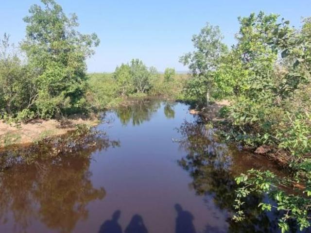 Sítio e chácara venda em Santo Antônio de Leverger, Região Geográfica Intermediária de Cuiabá
