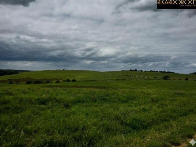 Sítio e chácara venda em Região Geográfica Imediata de Bagé, Bagé