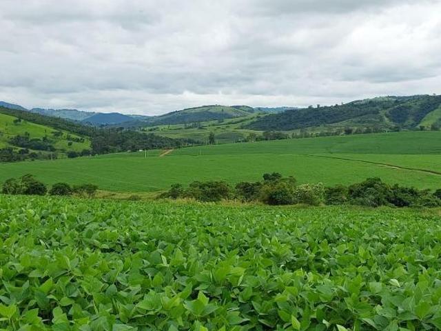 Sítio e chácara venda em Loteamento João de Barros, Itapira