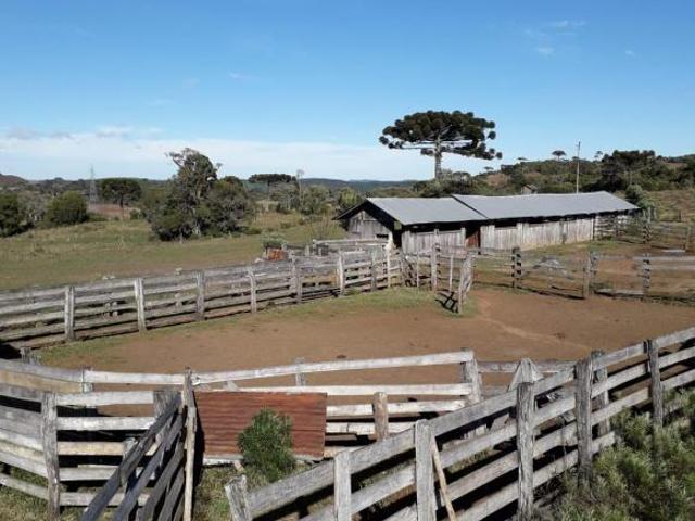 Sítio e chácara venda em Condomínio José Bonifácio, São Francisco de Paula