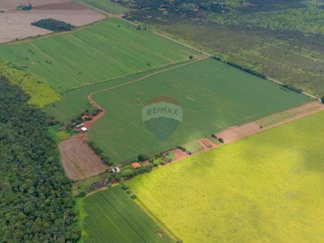 Sítio e chácara venda em Região Geográfica Imediata do Distrito Federal, Região Integrada de Desenvolvimento do Distrito Federal e Entorno