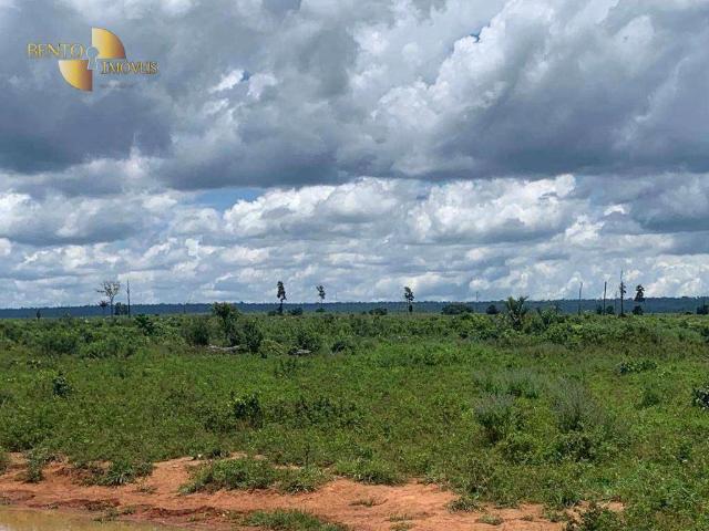 Fazenda aluguel em Setor B, Alta Floresta