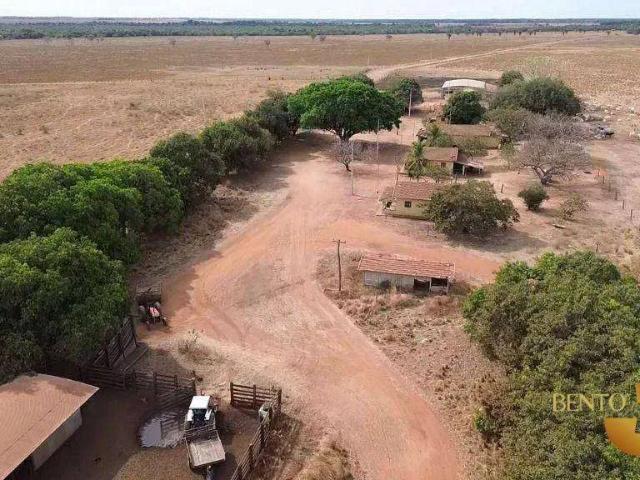 Fazenda aluguel em Cocalinho, Região Geográfica Intermediária de Barra do Garças