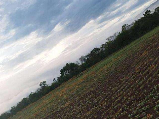 Fazenda aluguel em Jangada, Região Geográfica Intermediária de Cuiabá