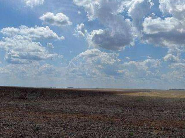 Fazenda aluguel em Nova Mutum, Região Geográfica Intermediária de Sinop