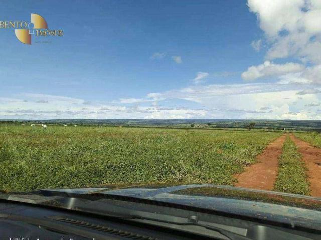 Fazenda aluguel em Nova Xavantina, Região Geográfica Intermediária de Barra do Garças