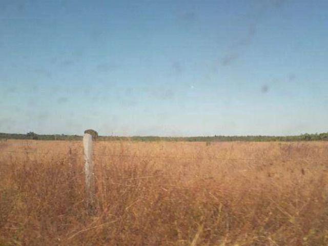Fazenda aluguel em Peixoto de Azevedo, Região Geográfica Intermediária de Sinop