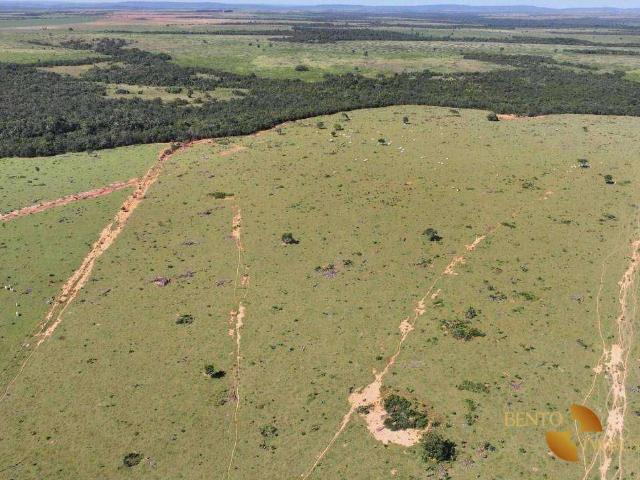 Fazenda aluguel em Planalto da Serra, Região Geográfica Intermediária de Cuiabá