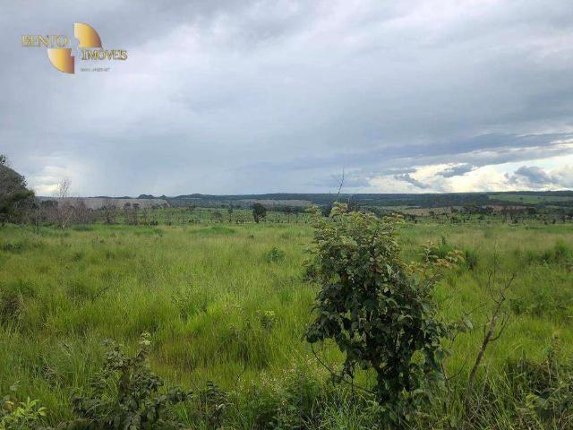 Fazenda aluguel em Planalto da Serra, Região Geográfica Intermediária de Cuiabá