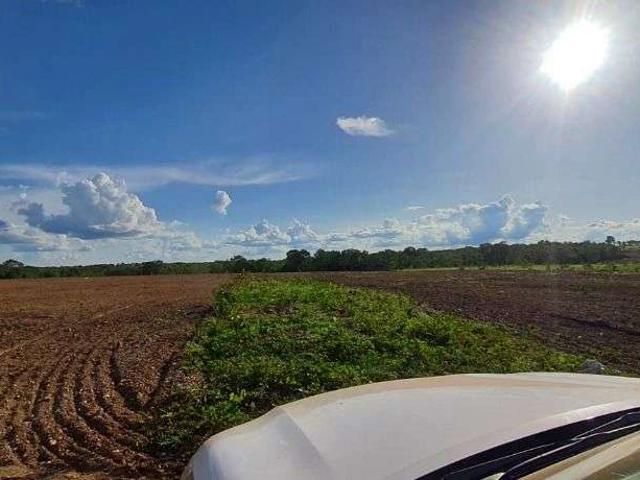 Fazenda aluguel em São Benedito, Poconé
