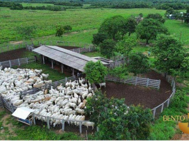 Fazenda aluguel em Nossa Senhora de Aparecida, Rosário Oeste