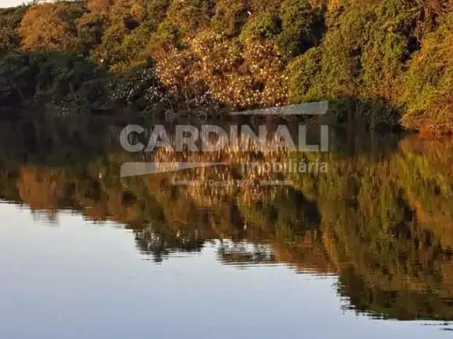 Fazenda aluguel em Região Imediata de São Carlos, São Carlos