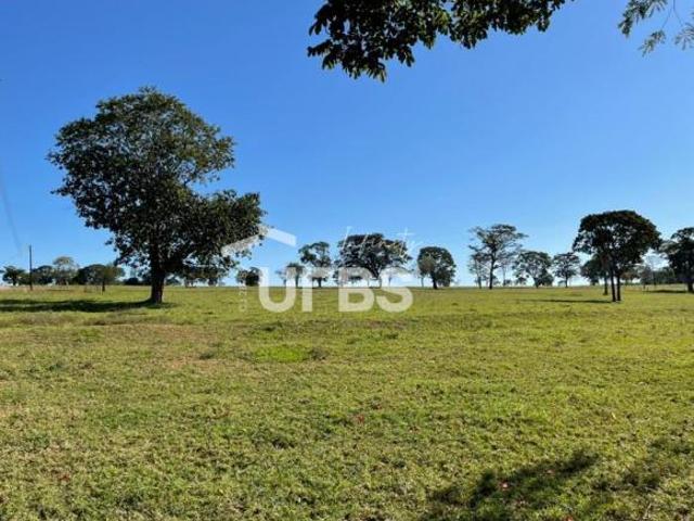 Ponto Comercial venda em Santo Antônio de Goiás, Região Geográfica Intermediária de Goiânia