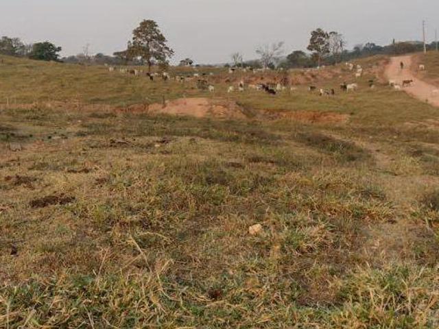 Sítio e chácara venda em Porto Esperidião, Mato Grosso
