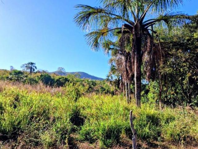 Sítio e chácara venda em Colinas do Sul, Região Geográfica Intermediária de Porangatu-Uruaçu