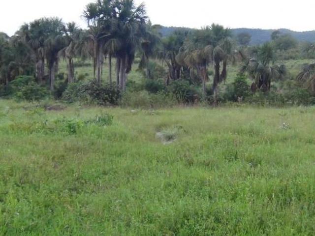 Sítio e chácara venda em Região Geográfica Imediata de Uruaçu - Niquelândia, Colinas do Sul