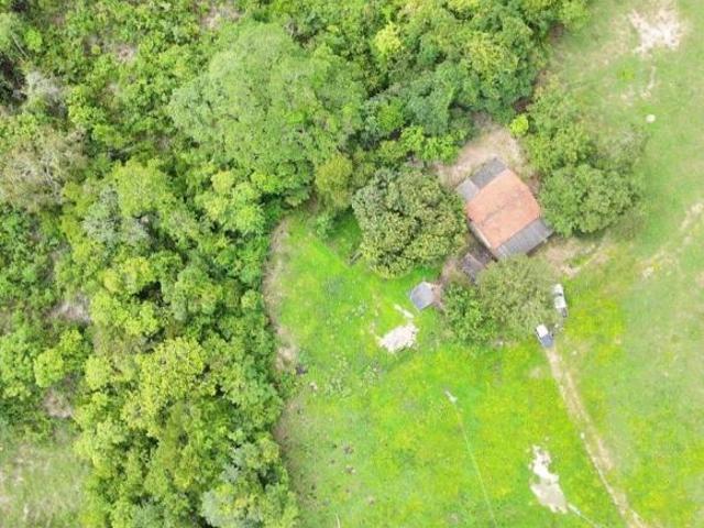 Sítio e chácara venda em Região Geográfica Imediata de Uruaçu - Niquelândia, Niquelândia