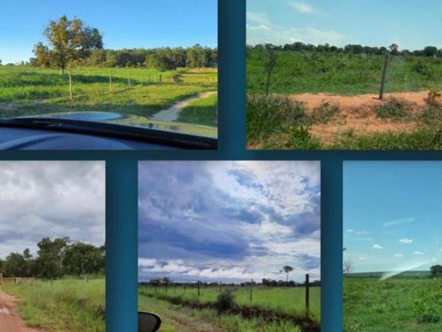 Sítio e chácara venda em Região Geográfica Imediata de Três Lagoas, Angélica