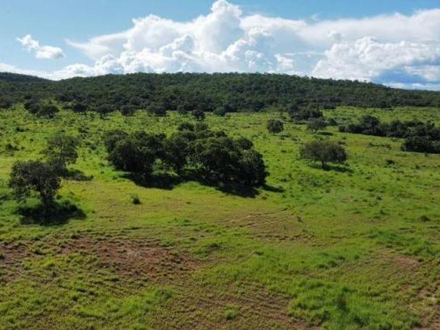 Sítio e chácara venda em Região Geográfica Imediata de Uruaçu - Niquelândia, Colinas do Sul