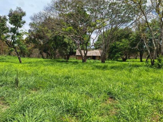 Sítio e chácara venda em Região Geográfica Imediata de Uruaçu - Niquelândia, Colinas do Sul