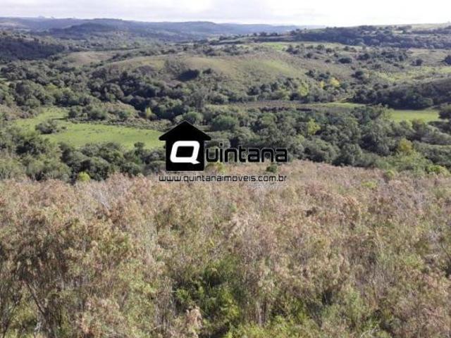 Sítio e chácara venda em Região Geográfica Imediata de Bagé, Pinheiro Machado