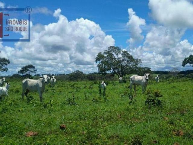 Sítio e chácara venda em Região Imediata de Marília, Marília