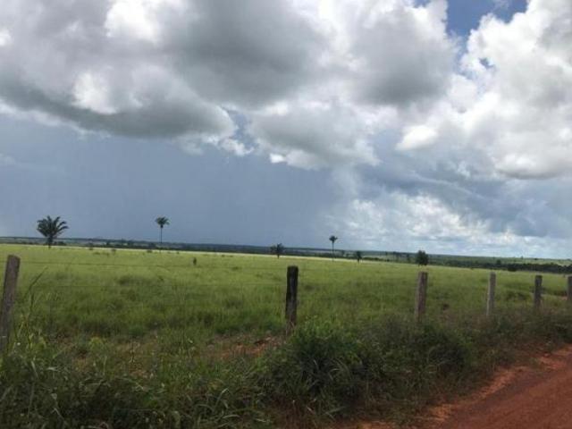 Sítio e chácara venda em Região Geográfica Imediata de Água Boa, Ribeirão Cascalheira